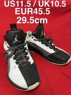 Nike Air Jordan WhiteBlack CW2459-1 29.5のサムネイル