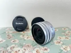 【美品】Panasonic LUMIX S 18-40mm F4.5-6.3のサムネイル