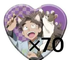 忍たま乱太郎 竹谷八左ヱ門 缶バッジ ナンジャタウン