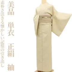 美品 単衣 正絹 着物“素朴さ活きる懐かしい記憶の引き出し”紬 S+21