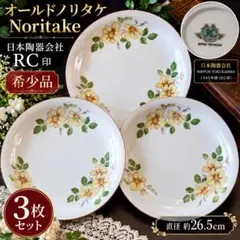 2026年最新】古い ノリタケ 皿の人気アイテム - メルカリ