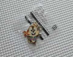 TDR ジャングルカーニバル　景品　キーホルダー　チップ