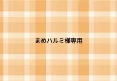 まめハルミ様 リクエスト 2点 まとめ商品