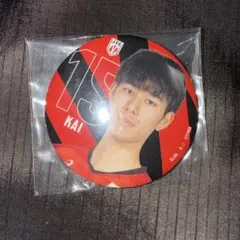 バレーボール　甲斐優斗　男子日本代表 カプセル缶バッジコレクション