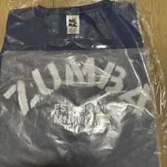 正規品　ZUMBA カジュアルTシャツ フリーサイズ 青