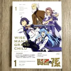 2025年最新】賢者の孫 dvdの人気アイテム - メルカリ