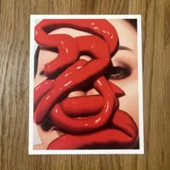 ジャケットデザイン　友沢こたお　アナログレコード 2025年最新】友沢こたおの人気アイテム - メルカリ