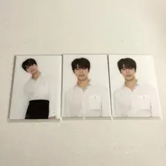 セブチカフェ2020 特典トレカ ディノ