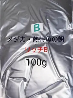 2025年最新】リッチb メダカの人気アイテム - メルカリ
