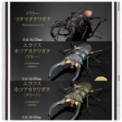 いきもの大図鑑アドバンス　クワガタ02 エラフスホソアカクワガタ　ブルー