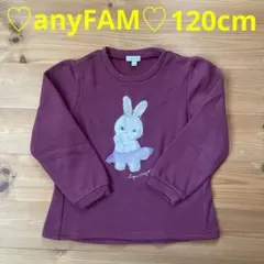 エニィファム 120