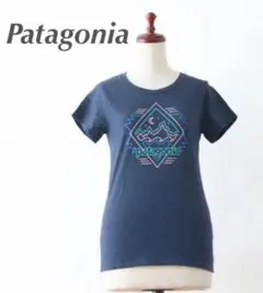 Patagonia パタゴニア フィッツロイ・ブギー・コットン／ポリ・Tシャツ