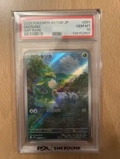 2026年最新】シキジカ arの人気アイテム - メルカリ