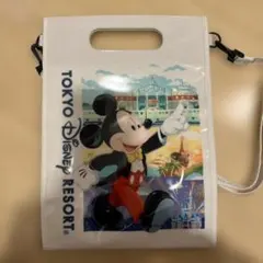 東京ディズニーリゾート　ミッキー ミニー ショルダーバッグ