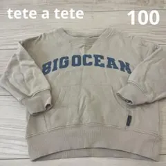 テータテート　トレーナー　100