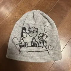 CA4LAのサムネイル