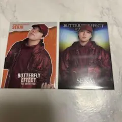 FANTASTICS 世界 フォトカ