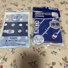 Item thumbnail for item 6c4e075c-508c-4868-9e23-9f7fba5825a2