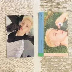 seventeen ホシ　トレカ　ステッカー　セット