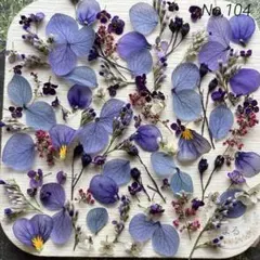 No,104 特小小花ミックス　ドライフラワー花材
