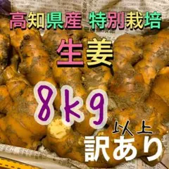 金時生姜 千葉県産 種生姜 3kg 農家直送 限定 たね生姜 小生姜 - メルカリ
