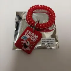 twice チェヨン ランダムロッカーキーリング ポップアップ