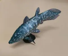 チョコラザウルス アクセルロディクティス