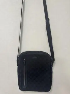 Item thumbnail for item 10fd3436-565d-407d-9987-83a8680d0a81