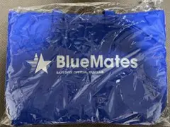 横浜DeNAベイスターズ　中綿トートバッグ