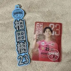 Item thumbnail for item 96fcc635-a930-45ee-9520-c73ee545a171