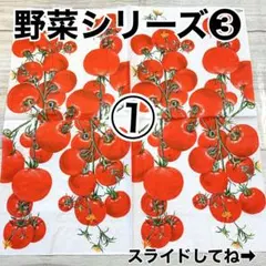 Item thumbnail for item affbed69-2ab0-443d-bad0-e43faadbeea3