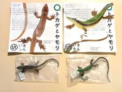 【新品2種】トカゲとヤモリ　ニホントカゲ（成体）アオカナヘビ（♂）ボールチェーンのサムネイル