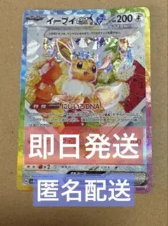 【美品】イーブイex SAR SV8a 224/187 テラスタルフェスex