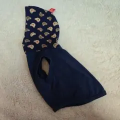 Item thumbnail for item f8b11e6e-402b-4c73-a49e-fcc244f99360