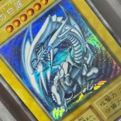 専用 遊戯王 青眼の白龍 藍眼白龍 Vジャンプ限定品 - メルカリ