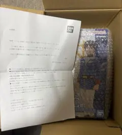 이치방쿠지 機動戦士ガンダム B賞 ダブルチャンス当選品