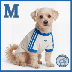 新品】アディダス adidas ペット Mサイズ ブルー 完売品 犬服 - メルカリ