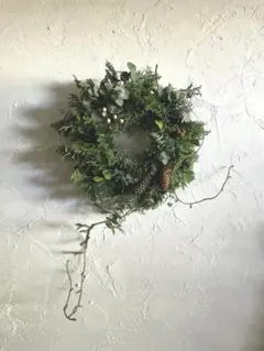 針葉樹・ユーカリ・月桂樹の動きある大きなクリスマスリース○ドライフラワーリース