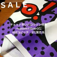 ◇特別セール◇チョット早いハロウィン特集→60㌢5ピッチ　3㍍紫色系