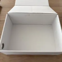 Air Jordan ThirtySix 箱※商品は入ってません　空箱です※