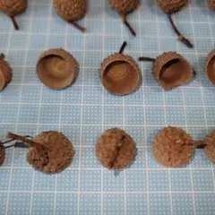 北海道 レッドオーク 穴あき どんぐり帽子 径約2.5㌢ 40個 - メルカリ