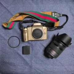 2026年最新】Panasonic Lumix GH1 の人気アイテム - メルカリ