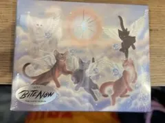 MEOVV BITE NOW CD 新品未開封