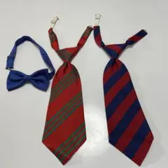 Item thumbnail for item b0af85f8-89d5-451d-a2ca-7dc83126f6a6