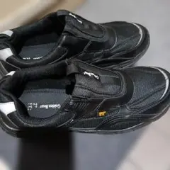 Item thumbnail for item d1a37afd-3df8-4ce6-af38-2f3b011cd298