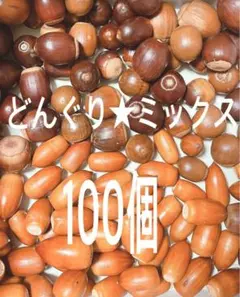 どんぐり★ミックス100個