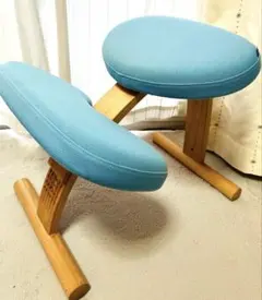 【⭐︎たのメル便発送】バランスチェア　イージー　サカモトハウス