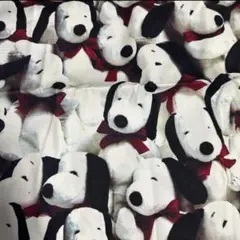 Item thumbnail for item ae467325-ba20-44e3-bd61-cf8e0ae58c0e