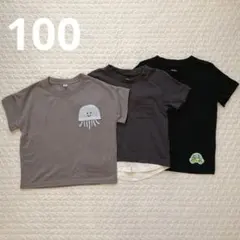 Item thumbnail for item 0fd452e0-8a3a-49a8-8668-e06d5f87369f