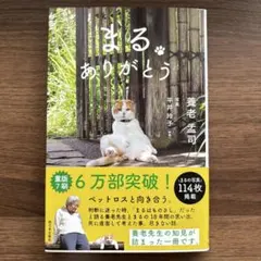 まる ありがとう